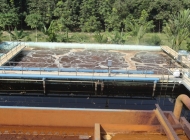 Công ty cung cấp vận chuyển bùn vi sinh Cần Thơ uy tín bậc nhất