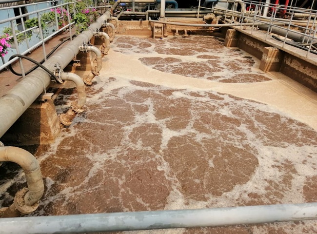 C&ocirc;ng ty vận chuyển b&ugrave;n vi sinh Long An c&oacute; quy tr&igrave;nh r&otilde; r&agrave;ng