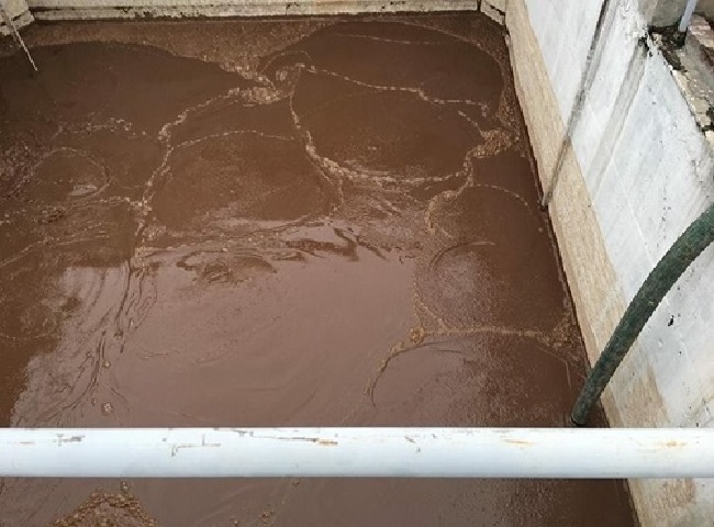 Dịch vụ vận chuyển b&ugrave;n vi sinh S&oacute;c Trăng c&oacute; gi&aacute; rẻ khuyến m&atilde;i