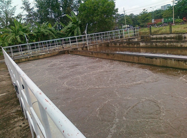 Vận chuyển b&ugrave;n vi sinh Cần Thơ quy tr&igrave;nh hiện đại